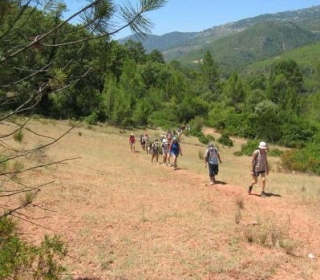 Andando por el camino.jpg